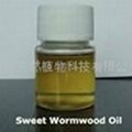 wormwood oil 2