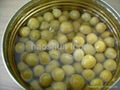 Canned Green Peas 1