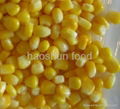 Canned Sweet Corn 1