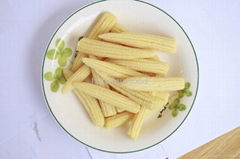 Canned Baby Corn