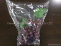 Punch hole grape bag  1