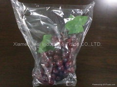 Punch hole grape bag 