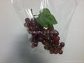 Punch hole grape bag  2