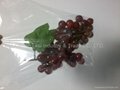 Punch hole grape bag  3