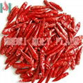 dried red chilli 1