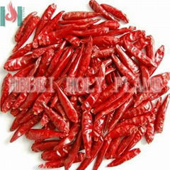 dried red chilli