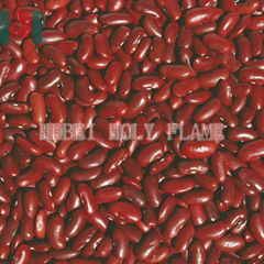 British red kidney bean