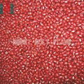 British red kidney bean 4