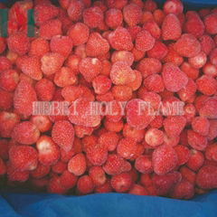 IQF strawberry