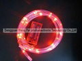LED copper wire string light with PVC