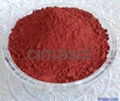 red yeast rice 2