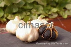 Garlic extract 