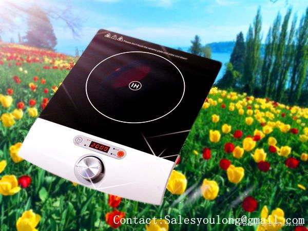 INDUCTION COOKER