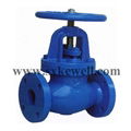 globle Valve