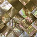 Brownlip mother of pearl seashell mosaic