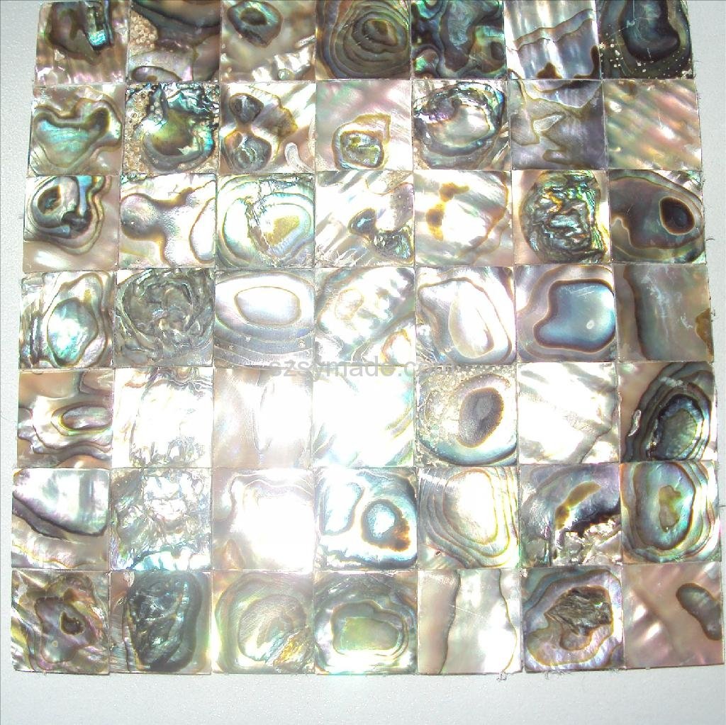Abalone shell mosaic paua shell mosaic