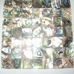 Abalone shell mosaic paua shell mosaic