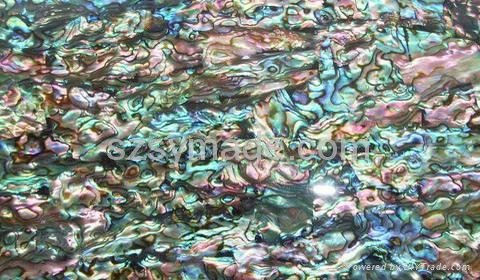 Abalone shell sheets mop shell mosaic sheets 2