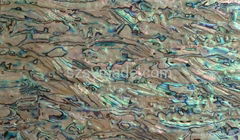 Grade A abalone shell sheets