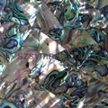 mother of pearl tile for bathroom tiles,