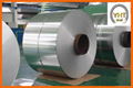 Offer Stainless Steel Coils