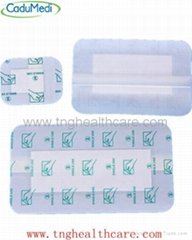 Waterproof and Transparent Dressing with Absorbent Pad