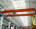 Shenli LDA-LD Model Motor-driven Single Girder Crane 1