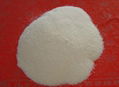 Powdered Nitrile Butadiene Rubber  