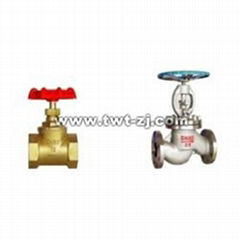 Globe Valve