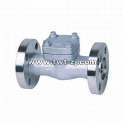 Forged Steel Swing Flange Check Valve