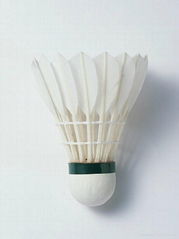 Duck&goose feather shuttlecock badminton ,Class A sports badminton