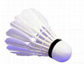 12pcs Shuttlecocks Badminton Sports