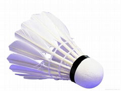 12pcs Shuttlecocks Badminton Sports Training Tournament