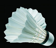 Duck &Goose Feather Badminton ,Hot sale shuttlecock