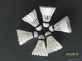 Best sale shuttlecock ,best quality badminton manufacturing  1