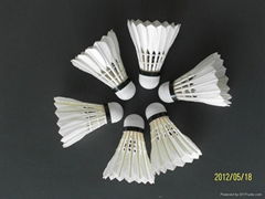 Best sale shuttlecock ,best quality badminton manufacturing 