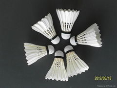 Best sale shuttlecock ,best quality badminton manufacturing