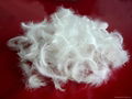 Washed White Duck Feather 2-4 Cm