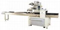 SJ-100E  Automatic pillow Packaging Machine 1