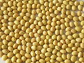 the biggest producer of Soy Isoflavone Extract in China