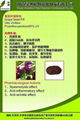 the bigggest producer of Grape Seed Extract in China 1