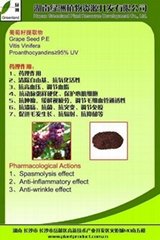 the bigggest producer of Grape Seed Extract in China