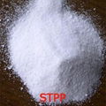 Sodium Tripolyphosphate(STPP) 1