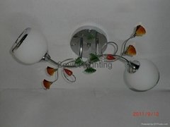 Home decoration ceiling lamp (W0645-2C)