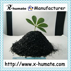 Refined Potassium Humate 85%min