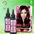 Colorful Hair Color Shampoo 1