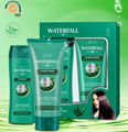 Waterfall Shampoo 1