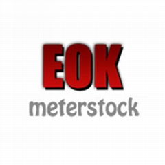 EOK meter and instrument stock Co., Ltd.