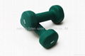 vinyl dipping dumbbell 5