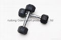 rubber coated  dumbbell 1